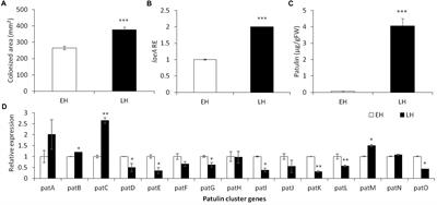 Apple Intrinsic Factors Modulating the Global Regulator, LaeA, the Patulin Gene Cluster and Patulin Accumulation During Fruit Colonization by Penicillium expansum